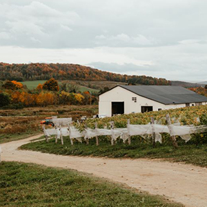 Image présentant la maison agricole Joy Hill.